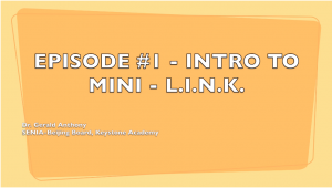 Mini L.I.N.K