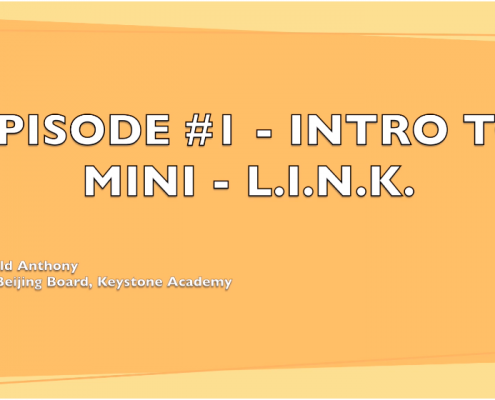 Mini L.I.N.K