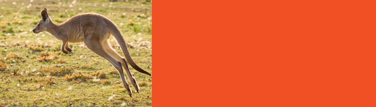 Website Headers (10)